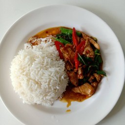 ข้าว+ผัดพริกแห้งโหระพา