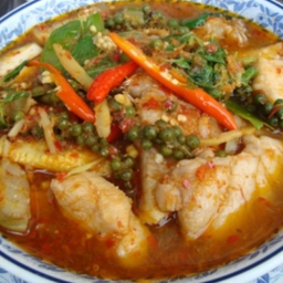 แกงป่าปลาช่อน