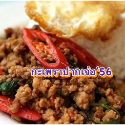 กะเพราปากเจ่อ ครัวกะเพรา 56