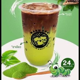 โกโก้กรีนทรี