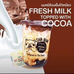 นมหมีล้วนเย็นโก้เหนียว(Original Fresh Milk topped with Cocoa)
