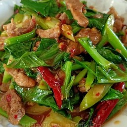 เจ้เรียวอาหารตามสั่ง&ก๋วยเตี๋ยว