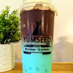 โกโก้มินต์เย็น