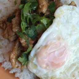 อาหารอร่อยเพื่อคุณ Foods deliciously for you