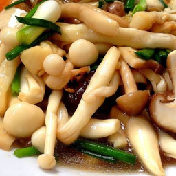 ข้าวราดผัดเห็ดรวม