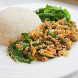 กะเพราหอยลายราดข้าว