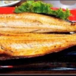 shakariki432 เชียงใหม่  ทิงค์พาร์ค