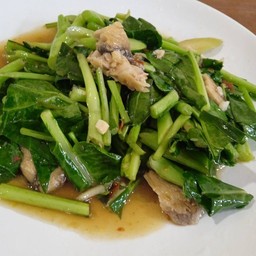 ผัดคะน้าน้ำมันหอย