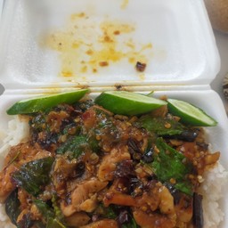 กะเพาไก่ผัดพริกแห้งราดข้าว