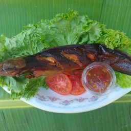 ร้านปลาดุกย่างสมุนไฟรรสเด็ด