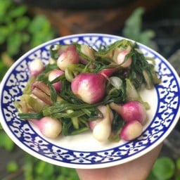 หอมดอง