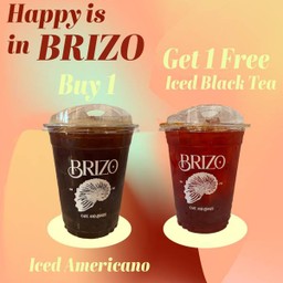 Happy is in Brizo 2