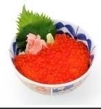 IKURA DON