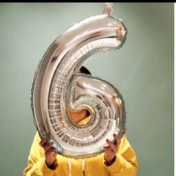 เลข 6 สีโรสโก