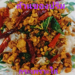 ข้าวกะเพราไก่