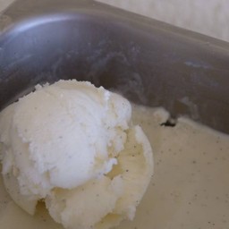 Vanilla gelato