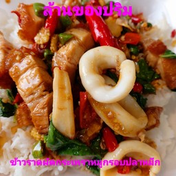 ข้าวผัดกระเพราหมูกรอบปลาหมึก+พิเศษ