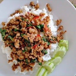 ต้นมะยม..ตามสั่ง