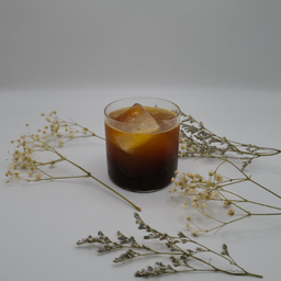 MENU_2077559FV_1675409659