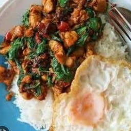 ข้าวกระเพราป่าพริกแห้ง หมูชิ้น ฟรีไข่ดาว