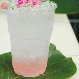 ลิ้นจี่โซดา