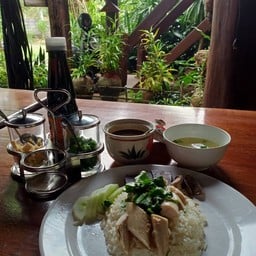 ข้าวมันไก่ครัวเรือนไม้ (ตรัง) กะพังสุรินทร์