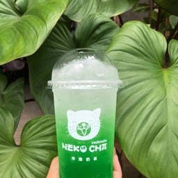 ชาแมวเหมียว