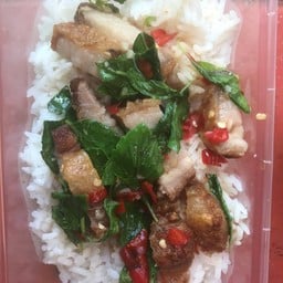 กระเพราหมูกรอบราดข้าว