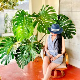 บรรยากาศหลังร้าน