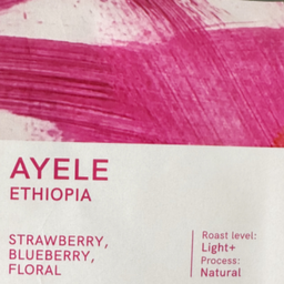 Ethiopia , Ayele