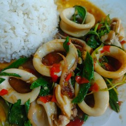 ข้าวกะเพราปลาหมึก