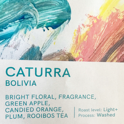 Bolivia Caturra