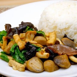 ข้าว+ผัดกะเพรามังสวิรัติ (เต้าหู้+เห็ด)