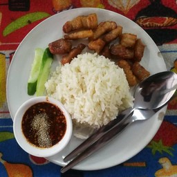 ข้าวมันหมูสามชั้นทอดน้ำปลาธรรมดา