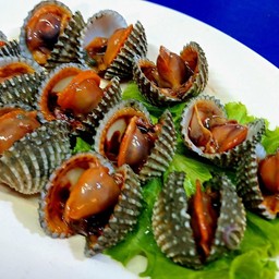 หอยแครงลวก