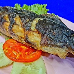 ปลาดุกย่าง