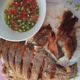 ล้าน กะเพรา ล้าน กะเพรา