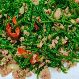 ชะอมหมูสับผัดพริกสด ราดข้าว