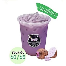 นมเผือก