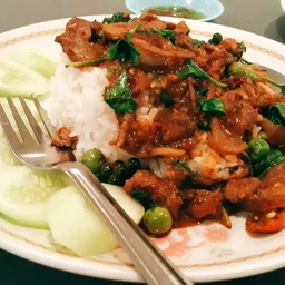 ผัดเผ็ดหมูป่าราดข้าว