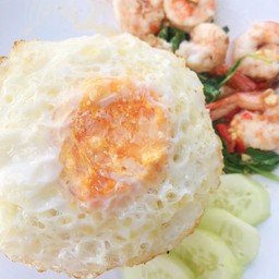 กระเพรากุ้ง  ราดข้าว