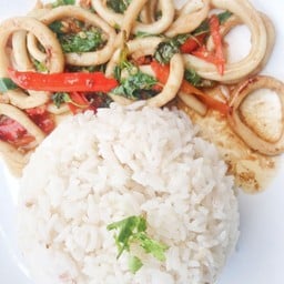 กระเพราปลาหมึก  ราดข้าว