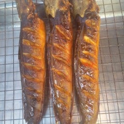 พลอยปลาย่าง