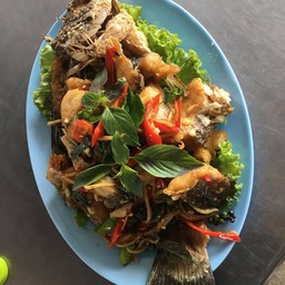 ปลากะพงผัดฉ่า