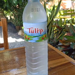 น้ำเปล่า