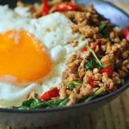 กระเพรา ป่ะล่ะ ลำพูน  เจ้า ลำขนาด