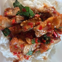 กะเพราหมูกรอบ