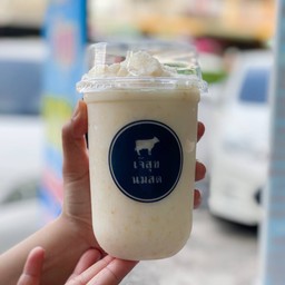 เนสวิต้าปั่น