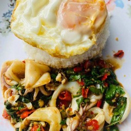 ข้าวกะเพราปลาหมึก