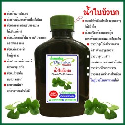 ใบบัวบก พิมพ์ดาว Phimdao